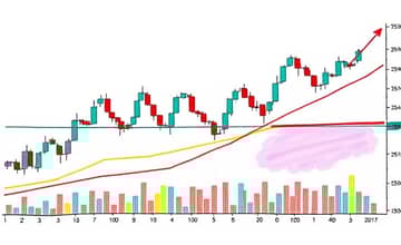 Análise Técnica Essencial: Interpretando Gráficos de Ações